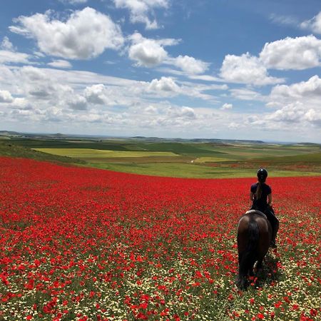 ホテル Ibersol La Casona De Andrea ティエドラ エクステリア 写真